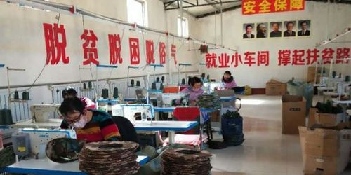 衡水市扶貧龍頭企業(yè)和扶貧車間全面復工，紡織品及針織品零售助力脫貧攻堅